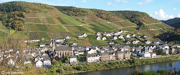 Neef/Mosel