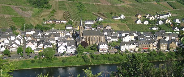 Neef/Mosel